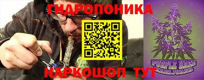 mix Кингисепп